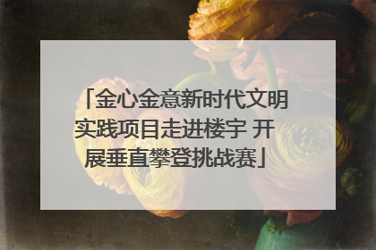 金心金意新时代文明实践项目走进楼宇 开展垂直攀登挑战赛