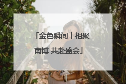 金色瞬间丨相聚南博 共赴盛会