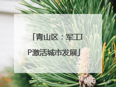 青山区：军工IP激活城市发展