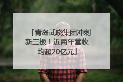 青岛武晓集团冲刺新三板！近两年营收均超20亿元