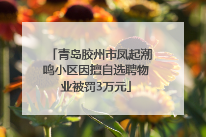 青岛胶州市凤起潮鸣小区因擅自选聘物业被罚3万元