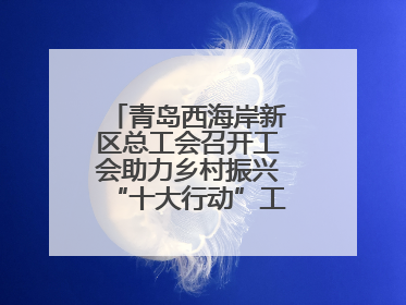 青岛西海岸新区总工会召开工会助力乡村振兴“十大行动”工作推进会议