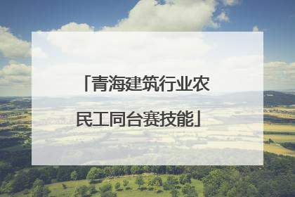 青海建筑行业农民工同台赛技能