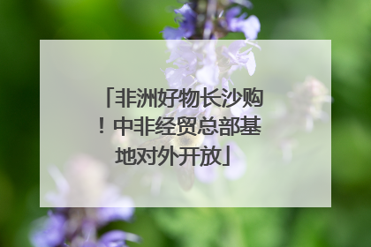 非洲好物长沙购！中非经贸总部基地对外开放