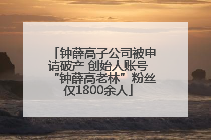 钟薛高子公司被申请破产 创始人账号“钟薛高老林”粉丝仅1800余人