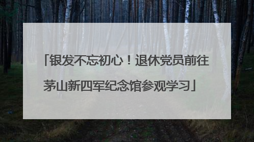银发不忘初心！退休党员前往茅山新四军纪念馆参观学习