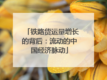 铁路货运量增长的背后：流动的中国经济脉动