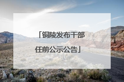铜陵发布干部任前公示公告