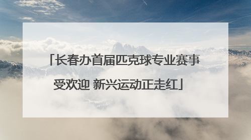 长春办首届匹克球专业赛事受欢迎 新兴运动正走红