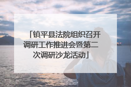 镇平县法院组织召开调研工作推进会暨第二次调研沙龙活动