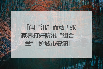 闻“汛”而动！张家界打好防汛“组合拳” 护城市安澜
