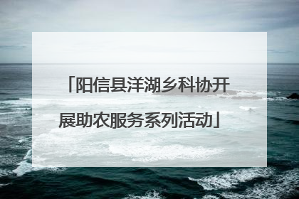 阳信县洋湖乡科协开展助农服务系列活动