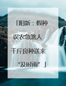 阳新：假种误农急煞人 千斤良种送来“及时雨”