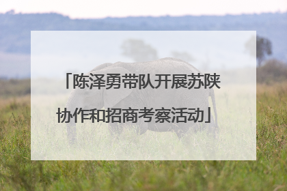 陈泽勇带队开展苏陕协作和招商考察活动
