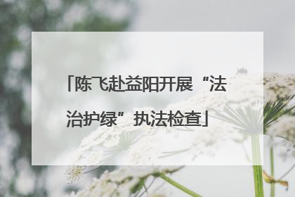 陈飞赴益阳开展“法治护绿”执法检查