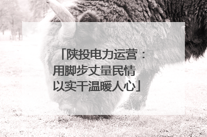 陕投电力运营：用脚步丈量民情 以实干温暖人心