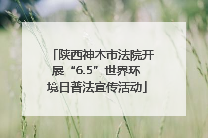 陕西神木市法院开展“6.5”世界环境日普法宣传活动