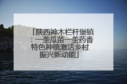 陕西神木栏杆堡镇：一垄瓜苗一垄药香 特色种植激活乡村振兴新动能