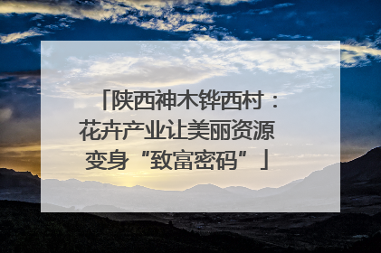 陕西神木铧西村：花卉产业让美丽资源变身“致富密码”
