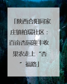 陕西合阳同家庄镇柏瑞社区：百亩杏园迎丰收 果农走上“杏”福路