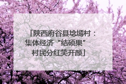 陕西府谷县埝墕村：集体经济“结硕果” 村民分红笑开颜