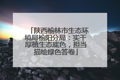 陕西榆林市生态环境局榆阳分局：实干厚植生态底色，担当描绘绿色答卷