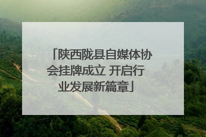 陕西陇县自媒体协会挂牌成立 开启行业发展新篇章