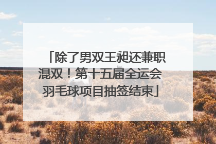 除了男双王昶还兼职混双！第十五届全运会羽毛球项目抽签结束