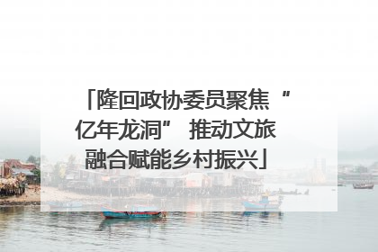 隆回政协委员聚焦“亿年龙洞” 推动文旅融合赋能乡村振兴