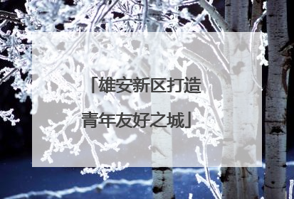 雄安新区打造青年友好之城