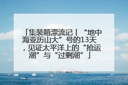 集装箱漂流记丨“地中海亚历山大”号的13天，见证太平洋上的“抢运潮”与“过剩潮”