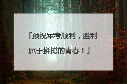 预祝军考顺利，胜利属于拼搏的青春！