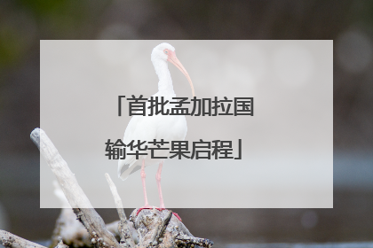 首批孟加拉国输华芒果启程