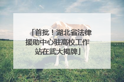 首批！湖北省法律援助中心驻高校工作站在武大揭牌