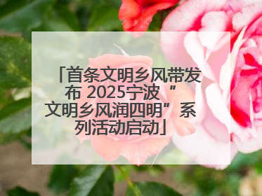 首条文明乡风带发布 2025宁波“文明乡风润四明”系列活动启动