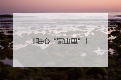 驻心“蒙山里”