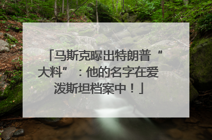 马斯克曝出特朗普“大料”：他的名字在爱泼斯坦档案中！
