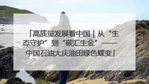 高质量发展看中国｜从“生态守护”到“碳汇生金”——中国石油大庆油田绿色蝶变