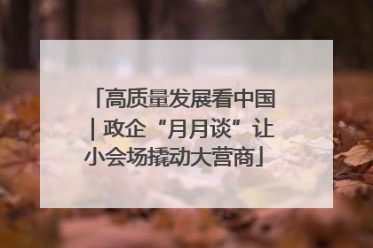 高质量发展看中国｜政企“月月谈”让小会场撬动大营商
