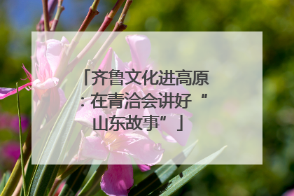 齐鲁文化进高原：在青洽会讲好“山东故事”