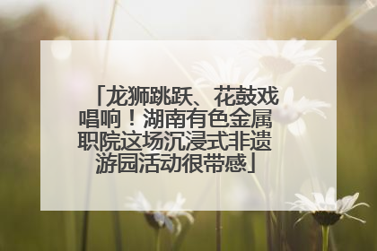龙狮跳跃、花鼓戏唱响！湖南有色金属职院这场沉浸式非遗游园活动很带感