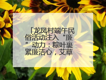龙凤村端午民俗活动注入“廉”动力：粽叶裹紧廉洁心，艾草锤敲警示钟