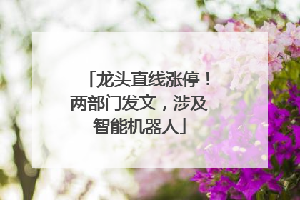 龙头直线涨停！两部门发文，涉及智能机器人