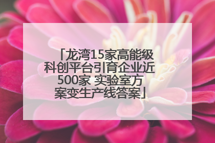 龙湾15家高能级科创平台引育企业近500家 实验室方案变生产线答案