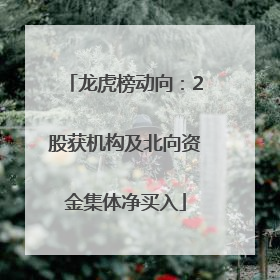龙虎榜动向：2股获机构及北向资金集体净买入