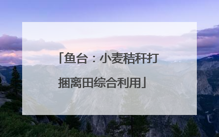 鱼台：小麦秸秆打捆离田综合利用