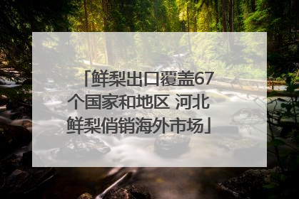 鲜梨出口覆盖67个国家和地区 河北鲜梨俏销海外市场