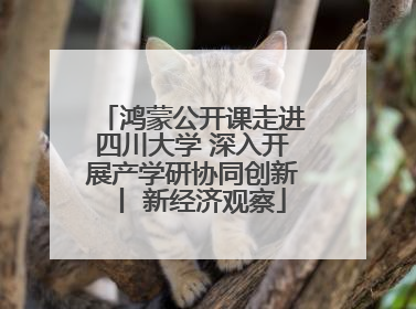 鸿蒙公开课走进四川大学 深入开展产学研协同创新丨 新经济观察