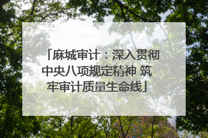 麻城审计：深入贯彻中央八项规定精神 筑牢审计质量生命线