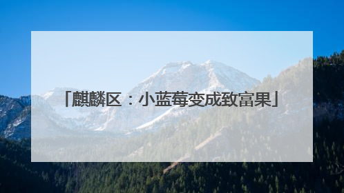 麒麟区：小蓝莓变成致富果